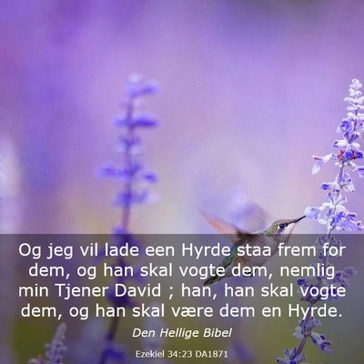 Picture 03 - Ezekiel 34:23 DA1871 - Og jeg vil lade een Hyrde staa frem for dem, og - Bible Verse Picture