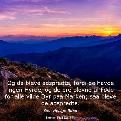 Picture 03 - Ezekiel 34:5 DA1871 - Og de bleve adspredte, fordi de havde ingen - Bible Verse Picture