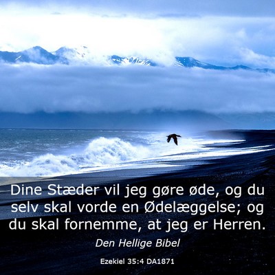 Picture 03 - Ezekiel 35:4 DA1871 - Dine Stæder vil jeg gøre øde, og du selv skal - Bible Verse Picture