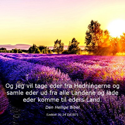 Picture 03 - Ezekiel 36:24 DA1871 - Og jeg vil tage eder fra Hedningerne og samle - Bible Verse Picture