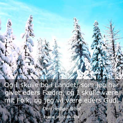 Picture 03 - Ezekiel 36:28 DA1871 - Og I skulle bo i Landet, som jeg har givet eders - Bible Verse Picture