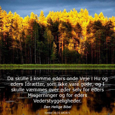 Picture 03 - Ezekiel 36:31 DA1871 - Da skulle I komme eders onde Veje i Hu og eders - Bible Verse Picture