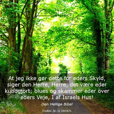 Picture 03 - Ezekiel 36:32 DA1871 - At jeg ikke gør dette for eders Skyld, siger den - Bible Verse Picture