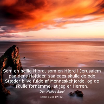 Picture 03 - Ezekiel 36:38 DA1871 - Som en hellig Hjord, som en Hjord i Jerusalem paa - Bible Verse Picture