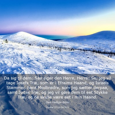 Picture 03 - Ezekiel 37:19 DA1871 - Da sig til dem: Saa siger den Herre, Herre: Se, - Bible Verse Picture
