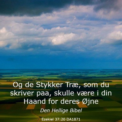 Picture 03 - Ezekiel 37:20 DA1871 - Og de Stykker Træ, som du skriver paa, skulle - Bible Verse Picture