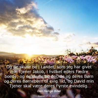 Picture 03 - Ezekiel 37:25 DA1871 - Og de skulle bo i Landet, som jeg har givet min - Bible Verse Picture