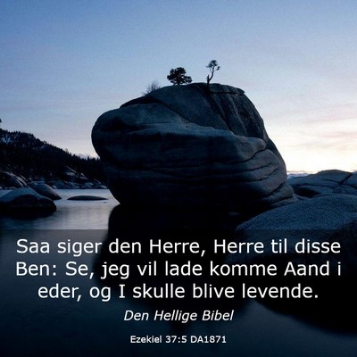 Picture 03 - Ezekiel 37:5 DA1871 - Saa siger den Herre, Herre til disse Ben: Se, jeg - Bible Verse Picture