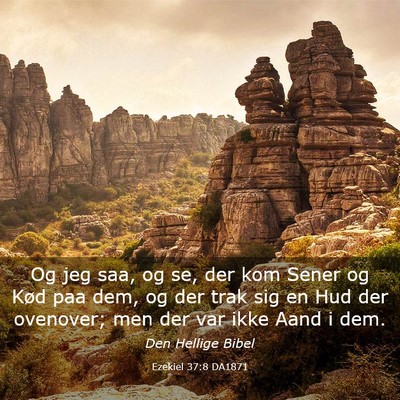 Picture 03 - Ezekiel 37:8 DA1871 - Og jeg saa, og se, der kom Sener og Kød paa dem, - Bible Verse Picture