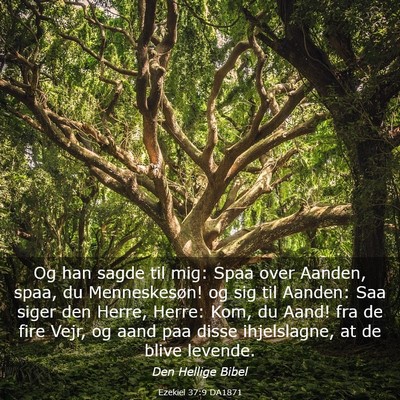 Picture 03 - Ezekiel 37:9 DA1871 - Og han sagde til mig: Spaa over Aanden, spaa, du - Bible Verse Picture