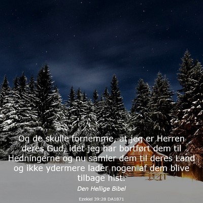 Picture 03 - Ezekiel 39:28 DA1871 - Og de skulle fornemme, at jeg er Herren deres - Bible Verse Picture