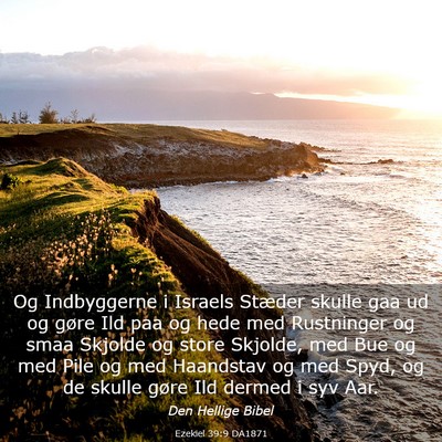 Picture 03 - Ezekiel 39:9 DA1871 - Og Indbyggerne i Israels Stæder skulle gaa ud og - Bible Verse Picture