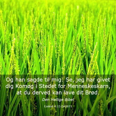 Picture 03 - Ezekiel 4:15 DA1871 - Og han sagde til mig: Se, jeg har givet dig - Bible Verse Picture