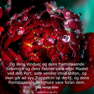 Picture 03 - Ezekiel 40:22 DA1871 - Og dens Vinduer og dens fremstaaende Sidemure og - Bible Verse Picture