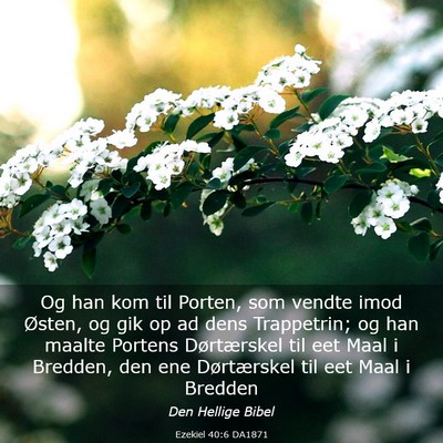 Picture 03 - Ezekiel 40:6 DA1871 - Og han kom til Porten, som vendte imod Østen, og - Bible Verse Picture