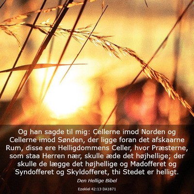 Picture 03 - Ezekiel 42:13 DA1871 - Og han sagde til mig: Cellerne imod Norden og - Bible Verse Picture