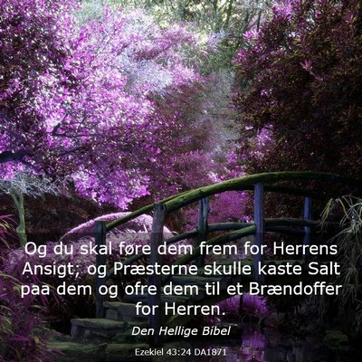 Picture 03 - Ezekiel 43:24 DA1871 - Og du skal føre dem frem for Herrens Ansigt; og - Bible Verse Picture