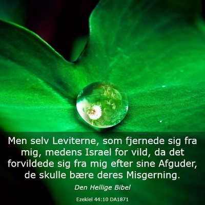Picture 03 - Ezekiel 44:10 DA1871 - Men selv Leviterne, som fjernede sig fra mig, - Bible Verse Picture