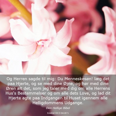 Picture 03 - Ezekiel 44:5 DA1871 - Og Herren sagde til mig: Du Menneskesøn! læg - Bible Verse Picture