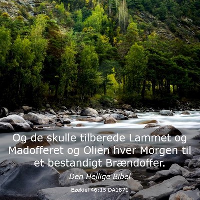 Picture 03 - Ezekiel 46:15 DA1871 - Og de skulle tilberede Lammet og Madofferet og - Bible Verse Picture