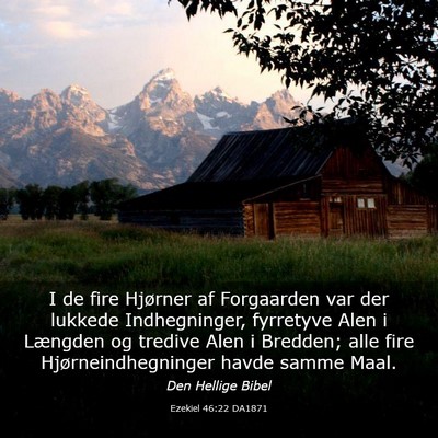 Picture 03 - Ezekiel 46:22 DA1871 - I de fire Hjørner af Forgaarden var der lukkede - Bible Verse Picture