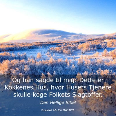 Picture 03 - Ezekiel 46:24 DA1871 - Og han sagde til mig: Dette er Kokkenes Hus, hvor - Bible Verse Picture