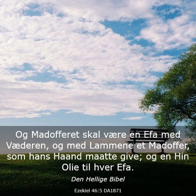 Picture 03 - Ezekiel 46:5 DA1871 - Og Madofferet skal være en Efa med Væderen, og - Bible Verse Picture