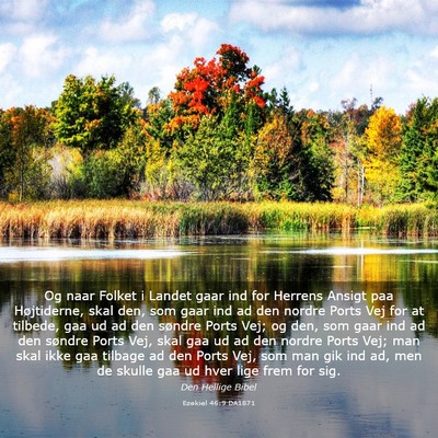 Picture 03 - Ezekiel 46:9 DA1871 - Og naar Folket i Landet gaar ind for Herrens - Bible Verse Picture