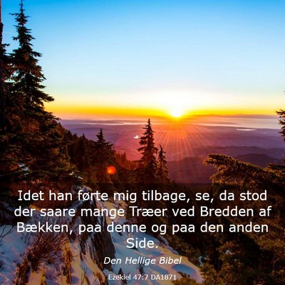 Picture 03 - Ezekiel 47:7 DA1871 - Idet han førte mig tilbage, se, da stod der - Bible Verse Picture