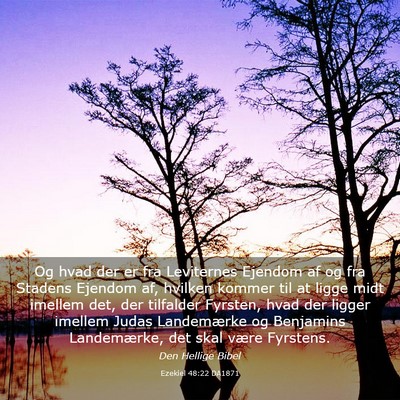 Picture 03 - Ezekiel 48:22 DA1871 - Og hvad der er fra Leviternes Ejendom af og fra - Bible Verse Picture