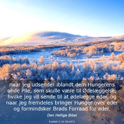 Picture 03 - Ezekiel 5:16 DA1871 - naar jeg udsender iblandt dem Hungerens onde - Bible Verse Picture