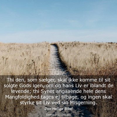 Picture 03 - Ezekiel 7:13 DA1871 - Thi den, som sælger, skal ikke komme til sit - Bible Verse Picture