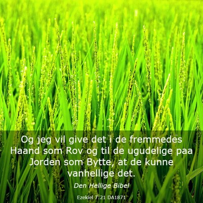 Picture 03 - Ezekiel 7:21 DA1871 - Og jeg vil give det i de fremmedes Haand som Rov - Bible Verse Picture