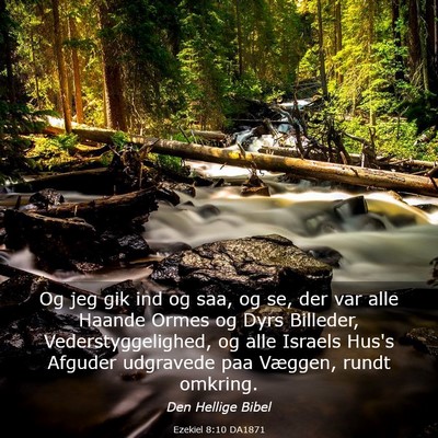 Picture 03 - Ezekiel 8:10 DA1871 - Og jeg gik ind og saa, og se, der var alle Haande - Bible Verse Picture