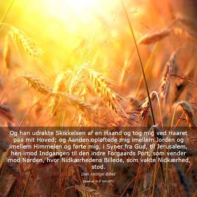 Picture 03 - Ezekiel 8:3 DA1871 - Og han udrakte Skikkelsen af en Haand og tog mig - Bible Verse Picture