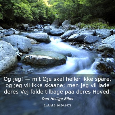 Picture 03 - Ezekiel 9:10 DA1871 - Og jeg! — mit Øje skal heller ikke spare, og - Bible Verse Picture