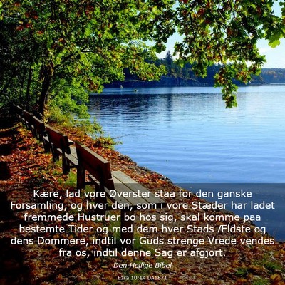 Picture 03 - Ezra 10:14 DA1871 - Kære, lad vore Øverster staa for den ganske - Bible Verse Picture