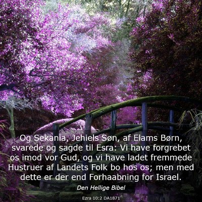 Picture 03 - Ezra 10:2 DA1871 - Og Sekania, Jehiels Søn, af Elams Børn, svarede - Bible Verse Picture
