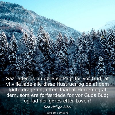 Picture 03 - Ezra 10:3 DA1871 - Saa lader os nu gøre en Pagt for vor Gud, at vi - Bible Verse Picture