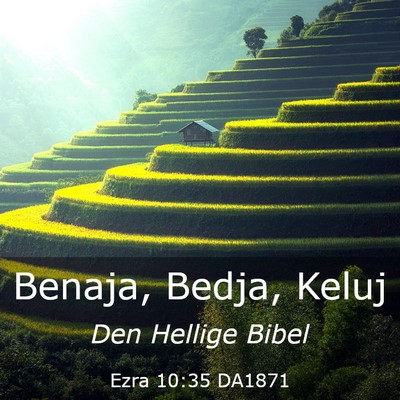 Picture 03 - Ezra 10:35 DA1871 - Benaja, Bedja, - Bible Verse Picture