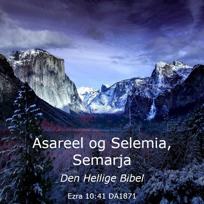 Picture 03 - Ezra 10:41 DA1871 - Asareel og Selemia, - Bible Verse Picture