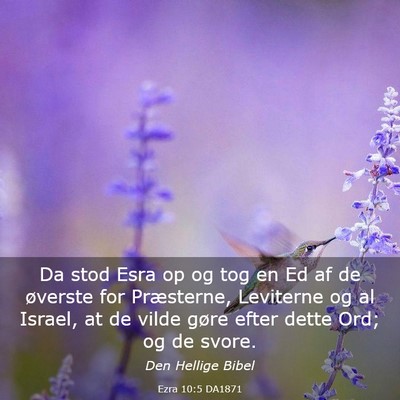 Picture 03 - Ezra 10:5 DA1871 - Da stod Esra op og tog en Ed af de øverste for - Bible Verse Picture