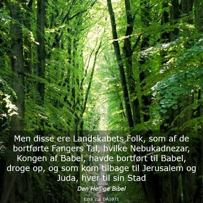 Picture 03 - Ezra 2:1 DA1871 - Men disse ere Landskabets Folk, som af de - Bible Verse Picture