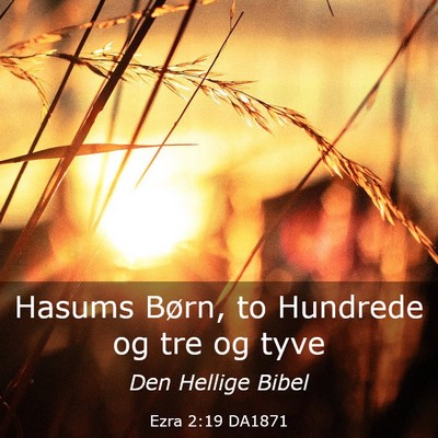 Picture 03 - Ezra 2:19 DA1871 - Hasums Børn, to Hundrede og tre og - Bible Verse Picture