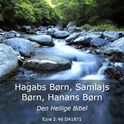 Picture 03 - Ezra 2:46 DA1871 - Hagabs Børn, Samlajs Børn, Hanans - Bible Verse Picture