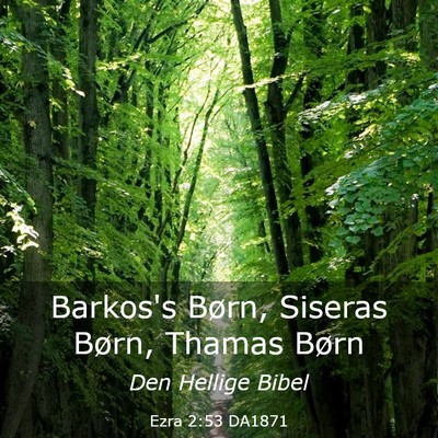 Picture 03 - Ezra 2:53 DA1871 - Barkos's Børn, Siseras Børn, Thamas - Bible Verse Picture