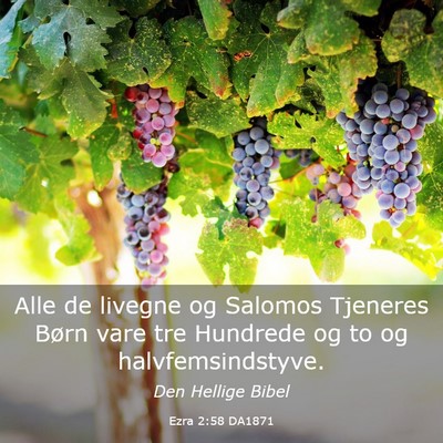 Picture 03 - Ezra 2:58 DA1871 - Alle de livegne og Salomos Tjeneres Børn vare - Bible Verse Picture