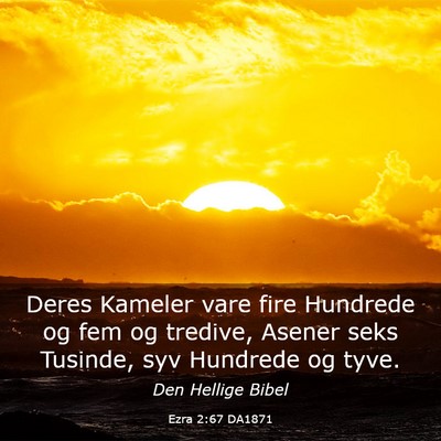 Picture 03 - Ezra 2:67 DA1871 - Deres Kameler vare fire Hundrede og fem og - Bible Verse Picture