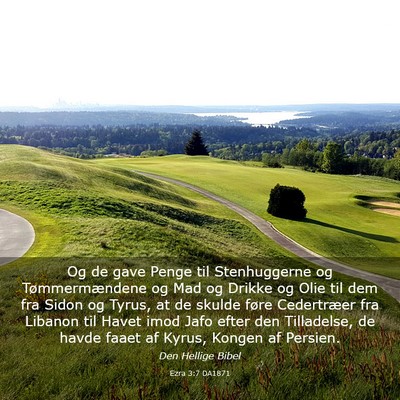 Picture 03 - Ezra 3:7 DA1871 - Og de gave Penge til Stenhuggerne og - Bible Verse Picture