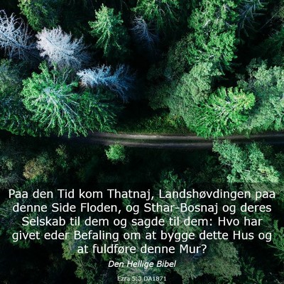Picture 03 - Ezra 5:3 DA1871 - Paa den Tid kom Thatnaj, Landshøvdingen paa - Bible Verse Picture